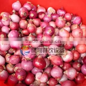 Automatic Onion Peeling Machine thumbnail-5