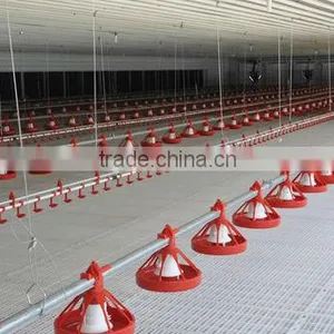 Bangchi Plastic Flooring for Chicken Farm thumbnail-1