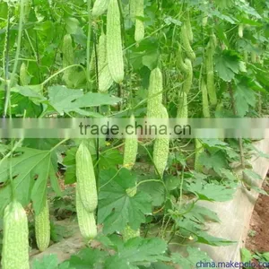 Drip Irrigation Tape Inner Inlaid Flat Drip Irrigation Drip Tape thumbnail-3