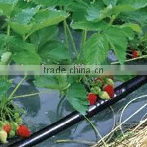 Cylindrical Dripper Irrigation Hose for Water Saving thumbnail-1