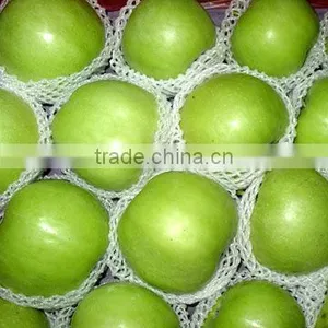 PE Foam Net Extrusion Line(FS-75) thumbnail-2