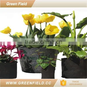 Decoration Plant Pot,herb Garden Plant Pot thumbnail-2