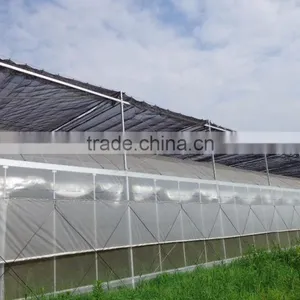 Low Cost Single-span Greenhouse Film Hoops thumbnail-2