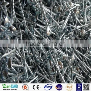 Factory! High Quality Loose Nails, Umbrella Head Roofing Nails thumbnail-6
