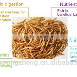 Dried Pet Food 100% Natural Wild Bird Food Microwave Dried Mealworms thumbnail-2
