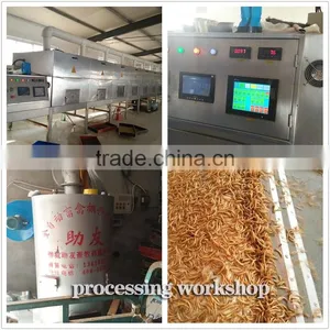 Dried Mealworms With Best Quality and Reseasonable Price thumbnail-3
