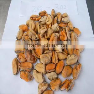 Frozen Boiled Mussel Meat thumbnail-6