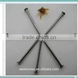 Factory Common Wire Nail/Common Nail for Construction/Common Nail thumbnail-4