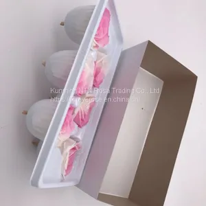 Preserved Rose Preserved Flowers Dried Flowers Birthday Valentine Party Wedding thumbnail-3