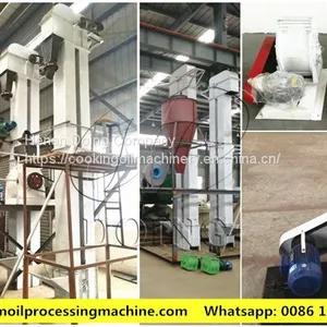 Doing Brand Palm Kernel Process Machine to Get Complete Palm Kernel With High Efficiency thumbnail-3