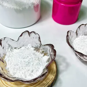 ECTFE Coating Grade Resin Teflon Anti-corrosive Powder thumbnail-1