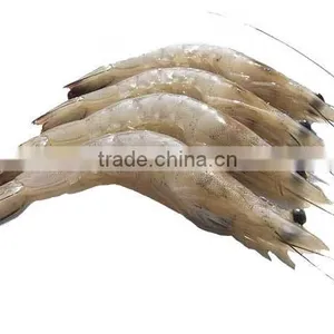 Frozen Vanamei Shrimp thumbnail-2