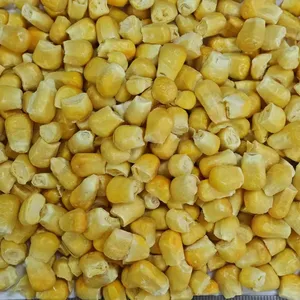 Pure Nature Organic Freeze Dried Sweet Corn thumbnail-1