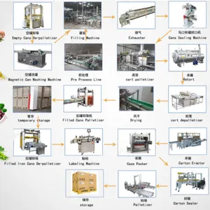 Canned Red Beans Mung Beans Green Peas Production Line thumbnail-3