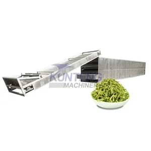 Firewood Burning Konjac Hawthorn Tea Onion Chili Day Lily Industrial Mesh Belt Dryer EPC thumbnail-1