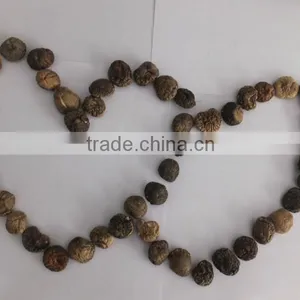 Market Prices for Mushroom thumbnail-1