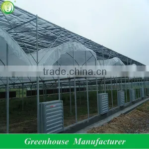 Greenhouse for Vegetable Used thumbnail-1