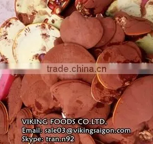 HIGH QUALITY - REISHI/GANODERMA/LUCIDUM/LINGZHI MUSHROOM thumbnail-3