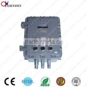 Explosion-proof Weighing Indicator thumbnail-1