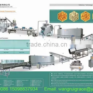 Corn Chips Machinery thumbnail-1