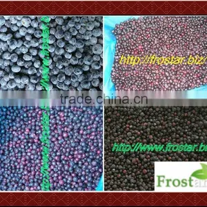 New Crop Frozen Blueberries thumbnail-1