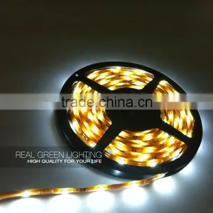 5M 300LEDs Waterproof IP55 12V/24V LED Strip Lighting thumbnail-1