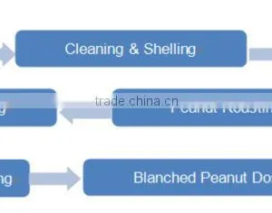 Best Selling High Praised Best Selling Peanut Roasting Blanching Line thumbnail-6
