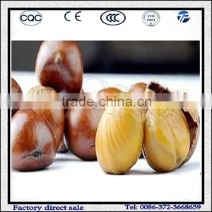 Best Selling Chestnut Peeling Machine Price thumbnail-2