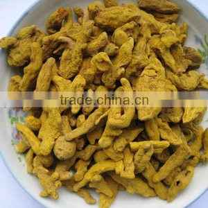 Fresh Turmeric Fingers thumbnail-1