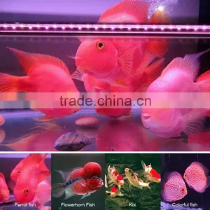 Led Aquarium Light With Microcomputer Thermometer thumbnail-5