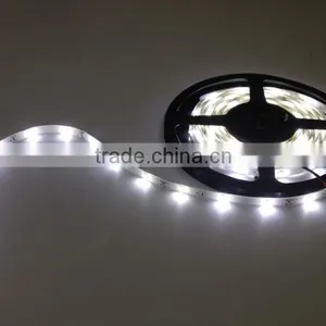 Favorable Prices IP67 Tube Around Waterproof Micro Led Strip thumbnail-2