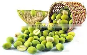 HKVIMEX'S Lotus Seed New Season thumbnail-1