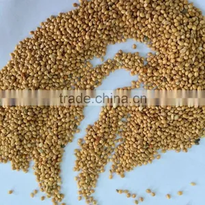 Yellow Millets Grain thumbnail-1