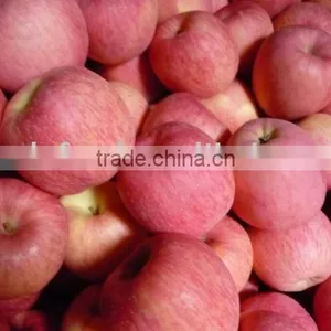 Chinese Red Delicious Apple thumbnail-1