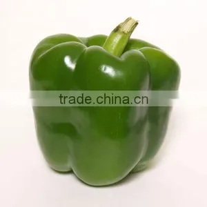 Color Pepper ( GREEN - YELLOW - RED ) thumbnail-6