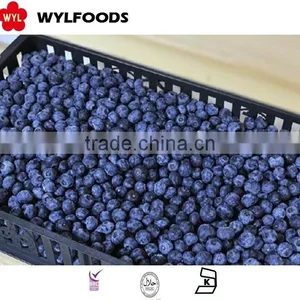 IQF Frozen Blueberry High Quality Hot Sales thumbnail-4