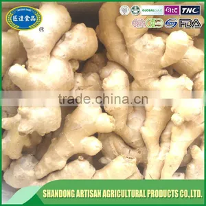 Cheap Price Ginger,dried Ginger Buyer thumbnail-3