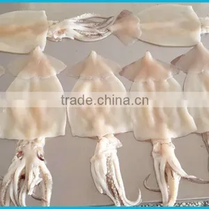SQ-400 Fish Skin Remover, Fish Skin Machine/Peeling Machine of Squid Plate, Squid Skin Peeling Machine With CE 304 thumbnail-6