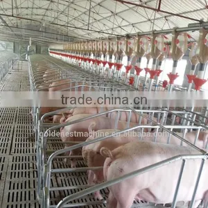 ^Pregnant Pig Stall for Sows With Good Quality thumbnail-1