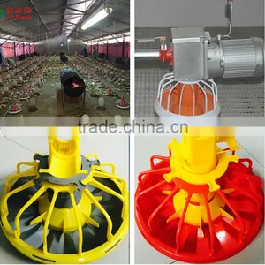 Advanced Design Automatic Farming Equipment for Broilers and Chickens thumbnail-4