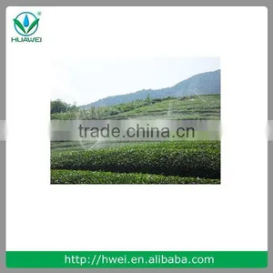 World Good Drip Irrigation System Micro Sprinkler Sprinkler Gun thumbnail-2