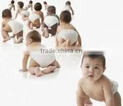 PP Hydrophilic Non Woven Fabric thumbnail-1