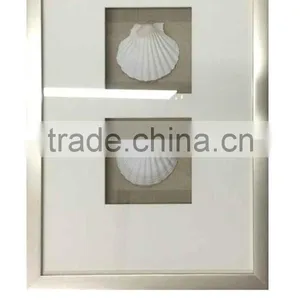 Shadow Box With White Seashell thumbnail-1