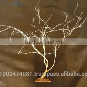 Nano Aquarium thumbnail-1