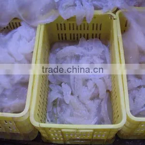 Salted Jellyfish thumbnail-2