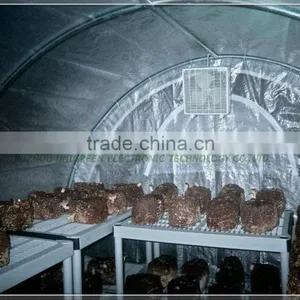 Cheap Film Tunnel Mushroom Greenhouse thumbnail-2