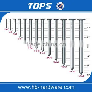 Tops Large 2 Inch Common Wire Nail thumbnail-2