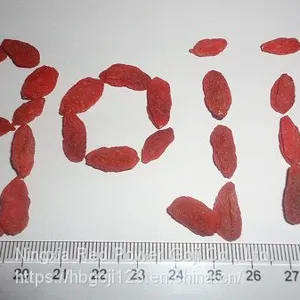 Low Pesticide Residues Dried Goji Berry / Wolfberry thumbnail-1