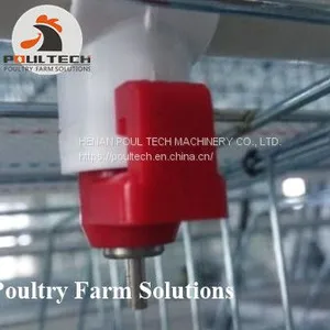 A Type Layer Chicken Cage Equipment for Poultry Farm thumbnail-4