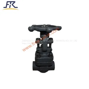 SW Ends Forged Steel A105 Globe Valve thumbnail-1